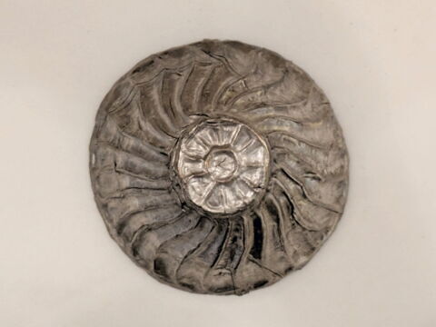 bol ; coupe, image 2/9