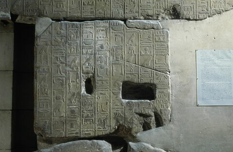 Le mur des annales de Thoutmosis III, image 19/21
