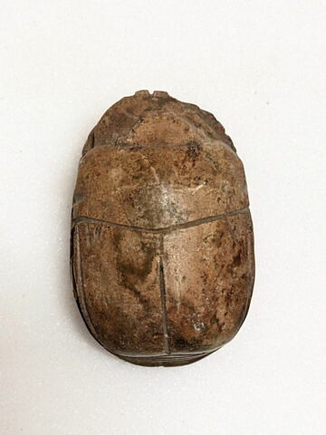 scarabée de cœur, image 2/6
