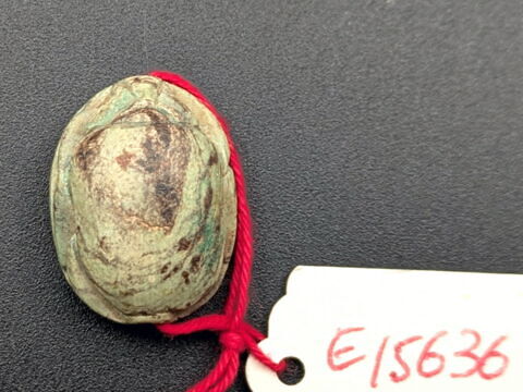 scarabée, image 2/2