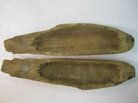 cercueil de poisson, image 2/2