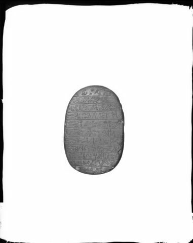 scarabée de cœur, image 2/3