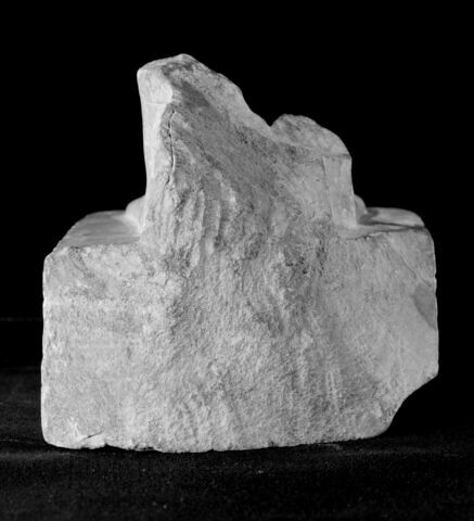 statue, image 11/11