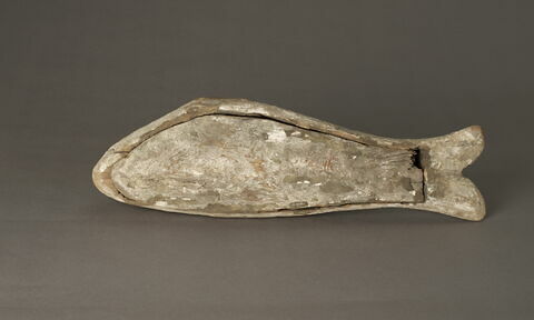 cercueil de poisson, image 4/4