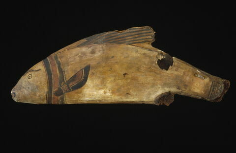 cercueil de poisson ; momie de poisson, image 4/5