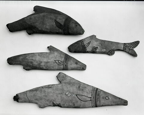 cercueil de poisson ; momie de poisson, image 4/4