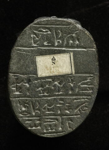 scarabée de cœur, image 2/2