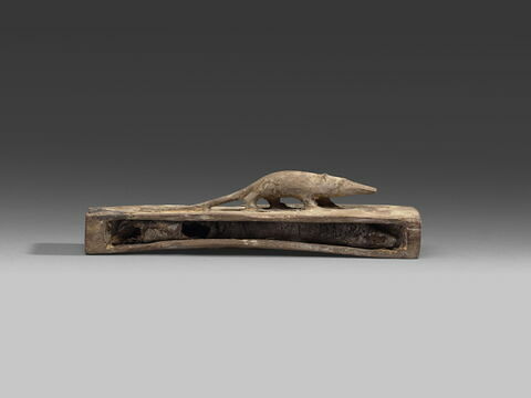 cercueil de musaraigne ; momie d'animal, image 2/3
