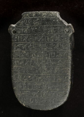 scarabée de cœur, image 2/2