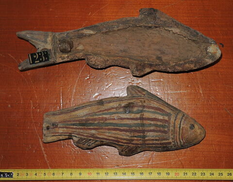 cercueil de poisson, image 3/3