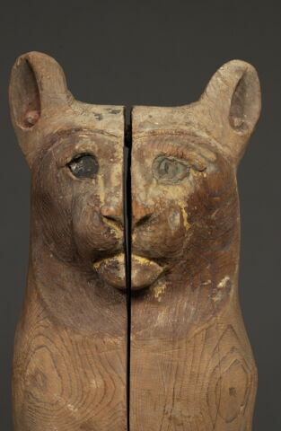 cercueil de chat, image 2/3