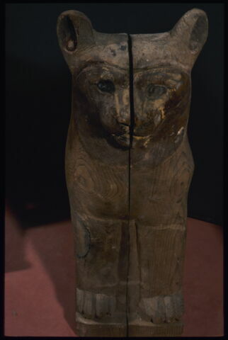 cercueil de chat, image 3/3