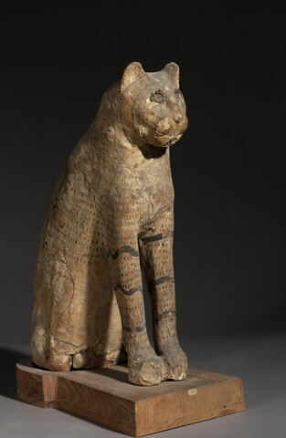 cercueil de chat ; momie de chat, image 6/6
