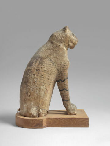 cercueil de chat ; momie de chat, image 4/6