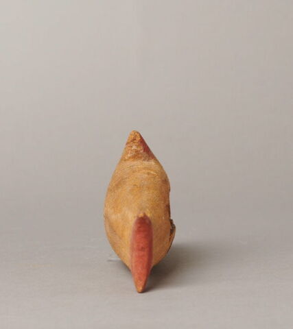 cercueil de poisson, image 6/7