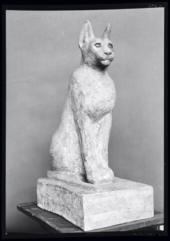 cercueil de chat, image 6/6