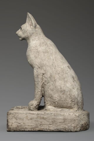 cercueil de chat, image 3/6