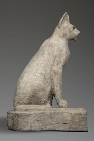 cercueil de chat, image 5/6
