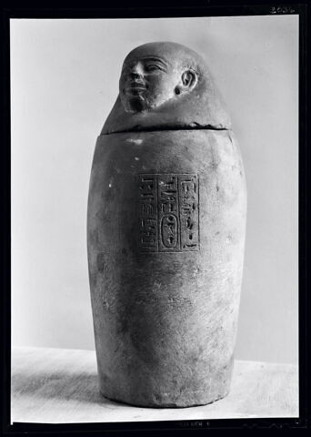 vase canope, image 5/5