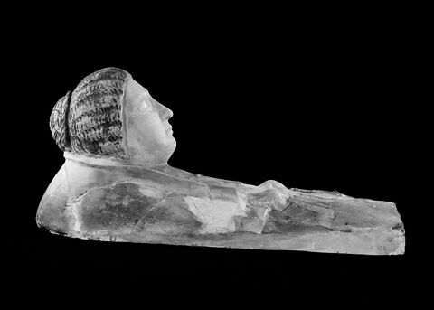 masque-plastron, image 2/2
