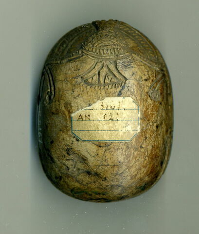scarabée, image 2/2