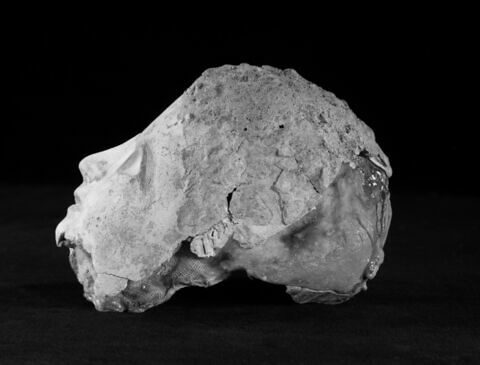masque de momie, image 3/3