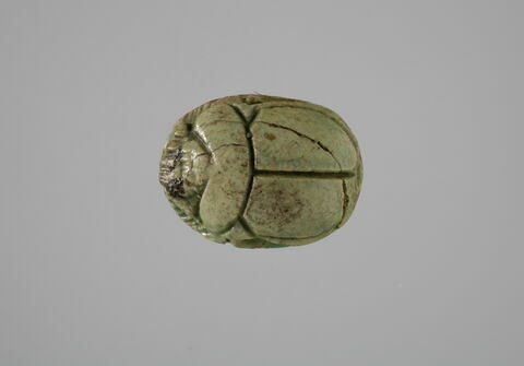 scarabée, image 2/2