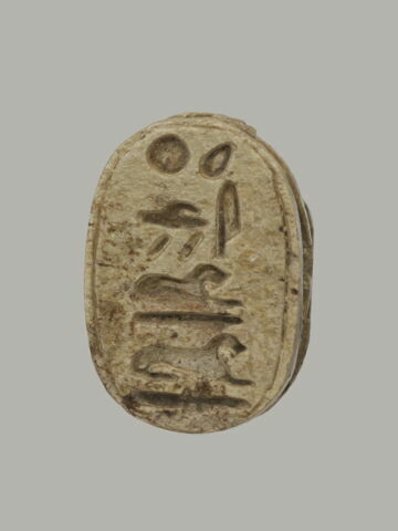 scarabée, image 2/2