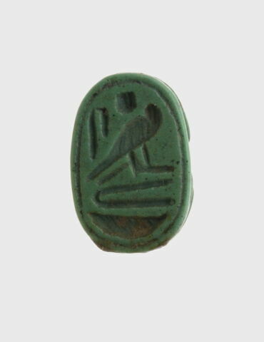scarabée