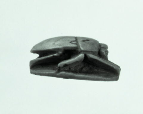 scarabée, image 2/2