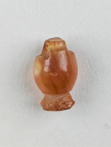 perle en pavot