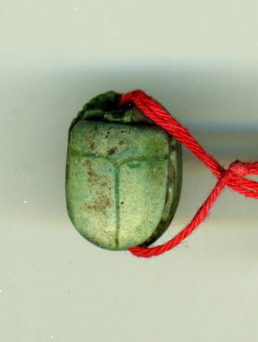 scarabée, image 2/3