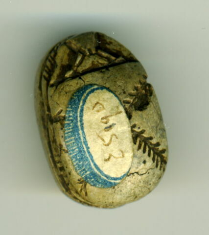 scarabée, image 2/2