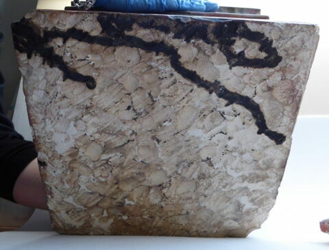 coffret funéraire  ; sarcophage de faucon, image 4/11