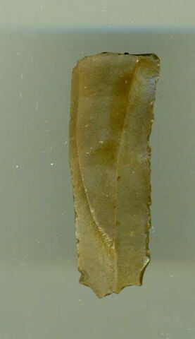 armature de faucille sur lamelle