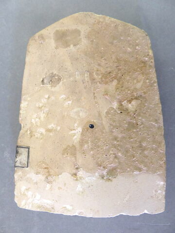 stèle cintrée, image 3/5