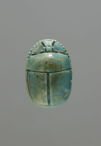 scarabée, image 2/2