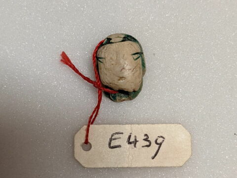 scarabée, image 2/2