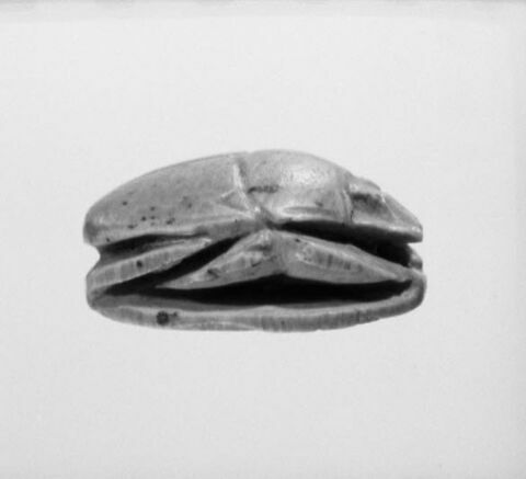 scarabée, image 3/3
