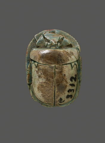 scarabée, image 2/2