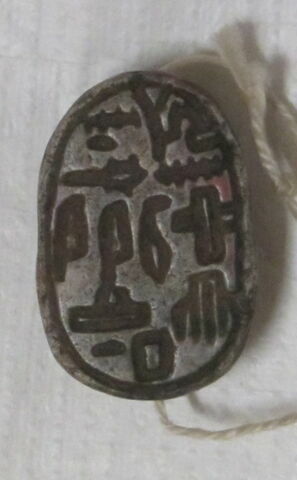 scarabée, image 3/6