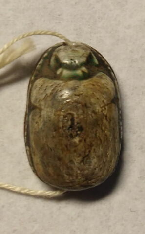 scarabée, image 2/6