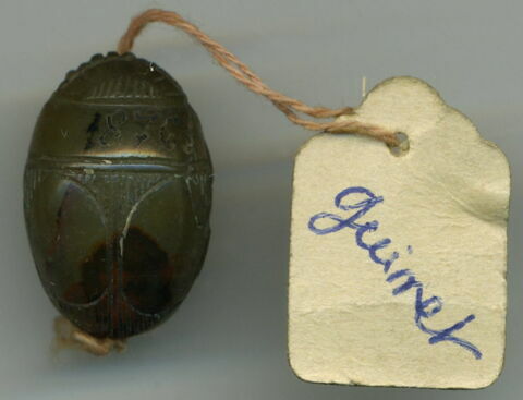 scarabée ; intaille, image 2/2