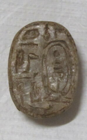 scarabée, image 3/6