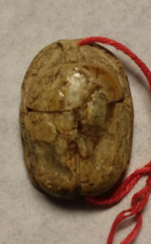 scarabée, image 4/6