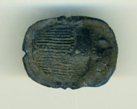 scarabée, image 2/2