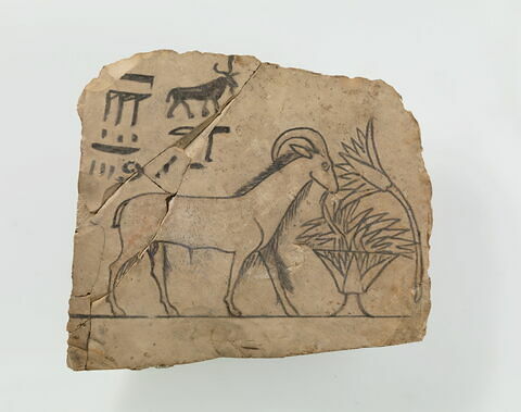 ostracon figuré