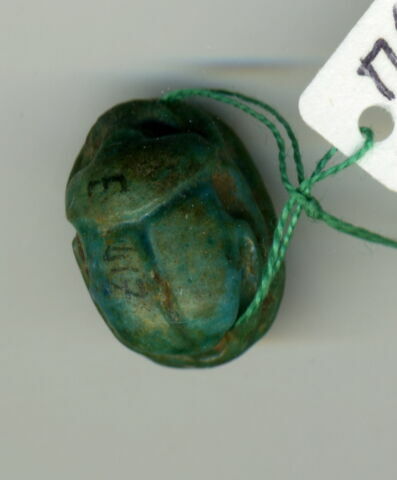 scarabée, image 2/2