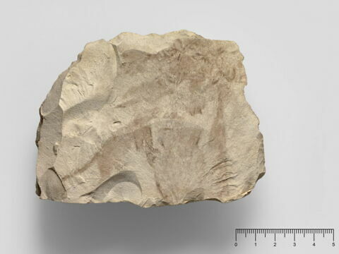 ostracon figuré