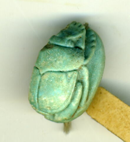 scarabée, image 2/2